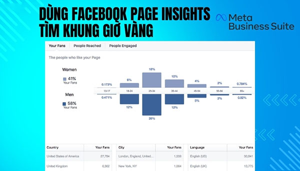 Facebook Page Insights