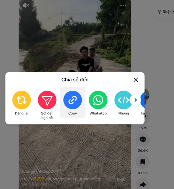 Copy Link