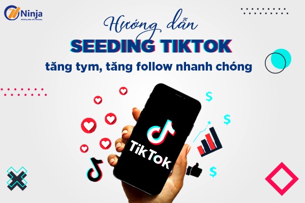 Seeding tiktok là gì